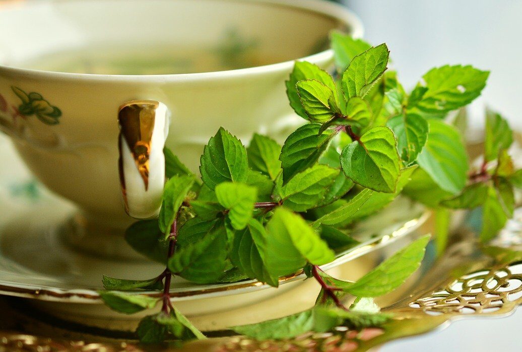 Natural healing modailities